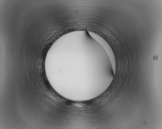 X0000096450654200802211235