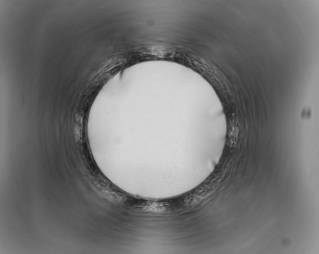 X0000096450656200802211235