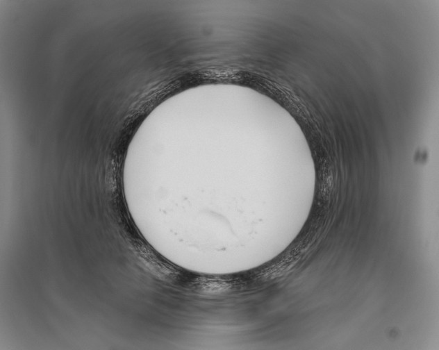 X0000096450658200802211235