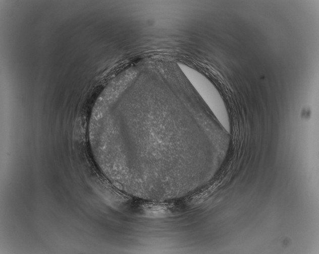 X0000096450661200802211235