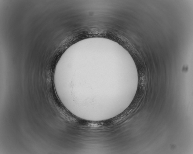 X0000096450662200802211235