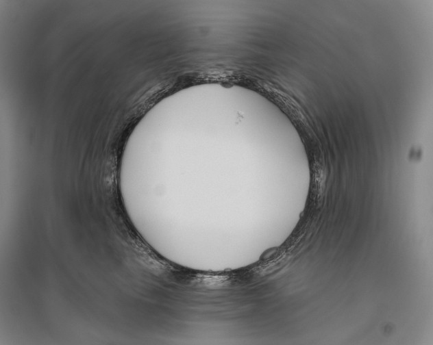 X0000096450665200802211235