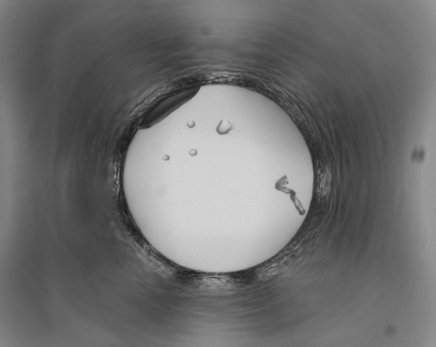 X0000096450666200802211235