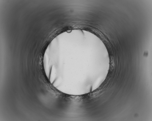 X0000096450667200802211235