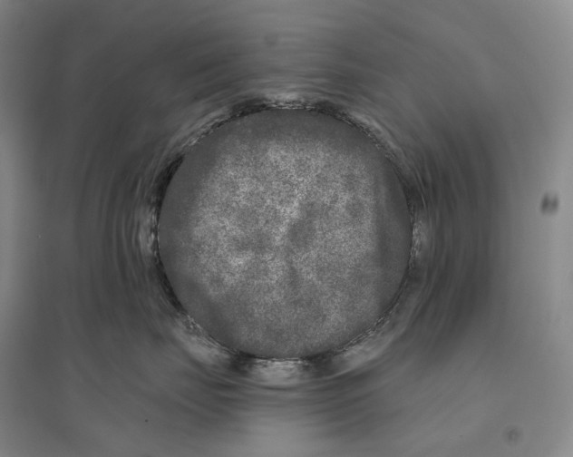 X0000096450671200802211235