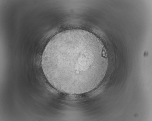 X0000096450672200802211235