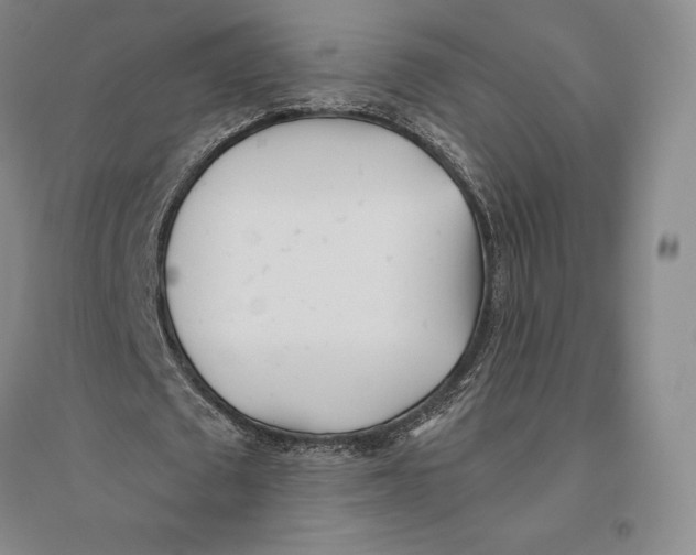 X0000096450673200802211235