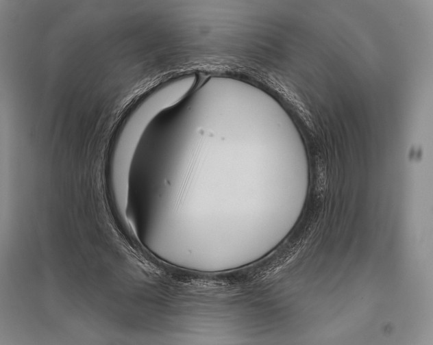 X0000096450681200802211234