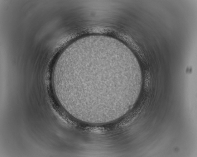 X0000096450683200802211234