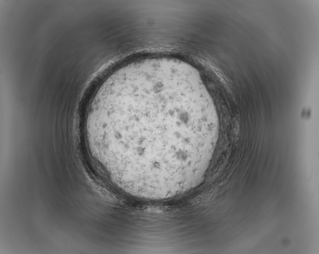 X0000096450684200802211234