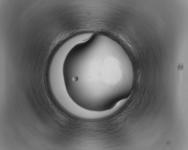 X0000096450685200802211234