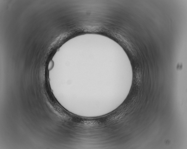 X0000096450686200802211234