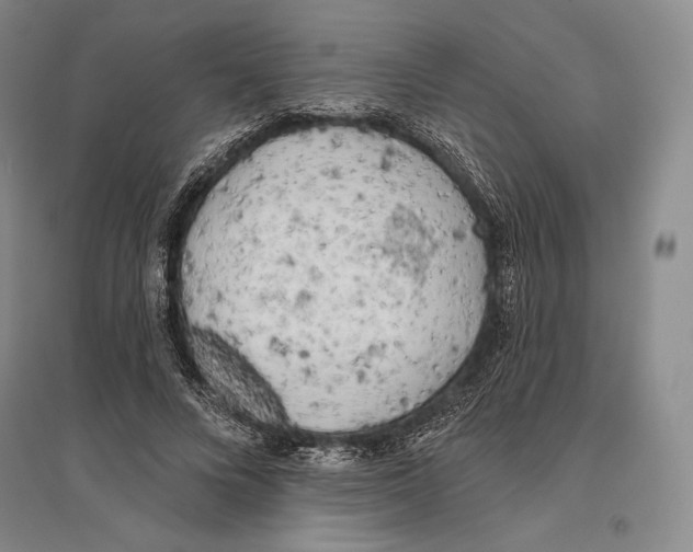 X0000096450688200802211234