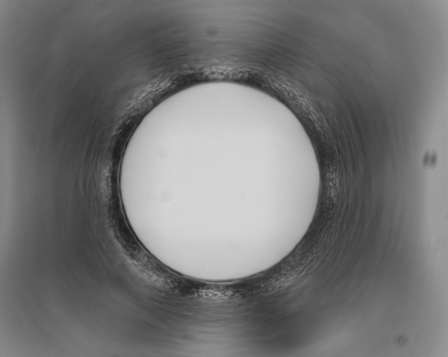 X0000096450690200802211234