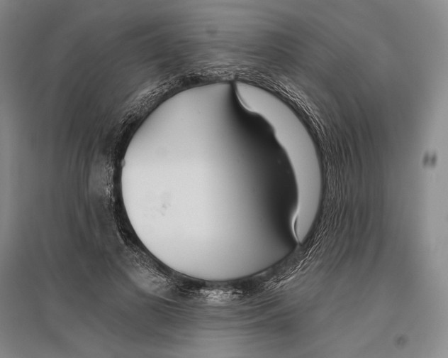 X0000096450693200802211234