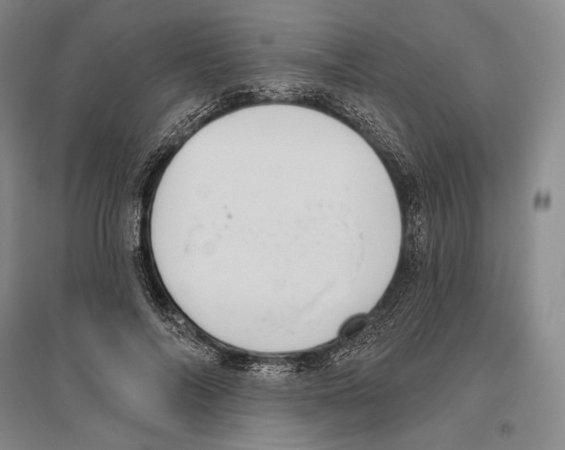 X0000096450694200802211234