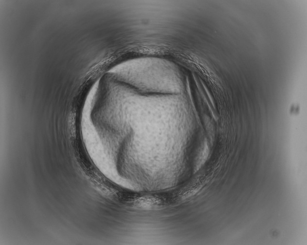 X0000096450696200802211234