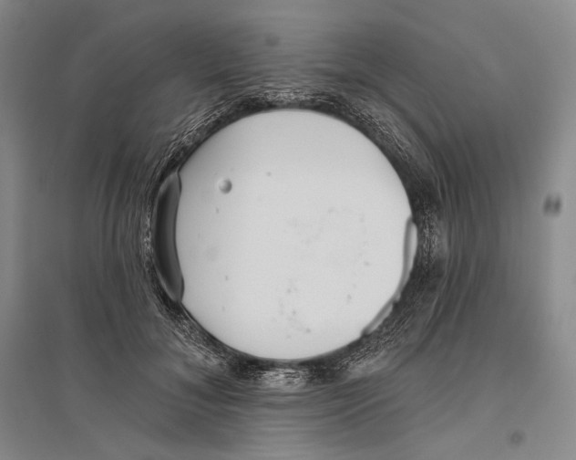 X0000096450700200802211234