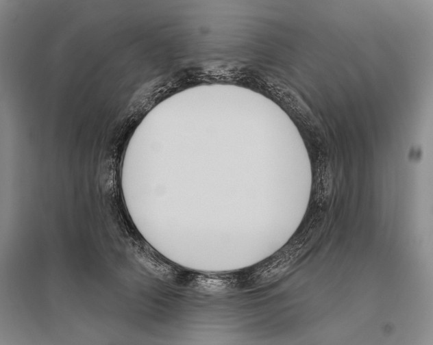 X0000096450706200802211234