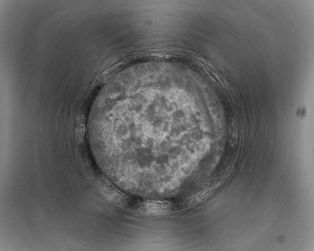 X0000096450707200802211234