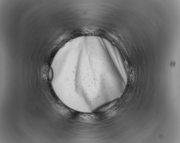 X0000096450712200802211234