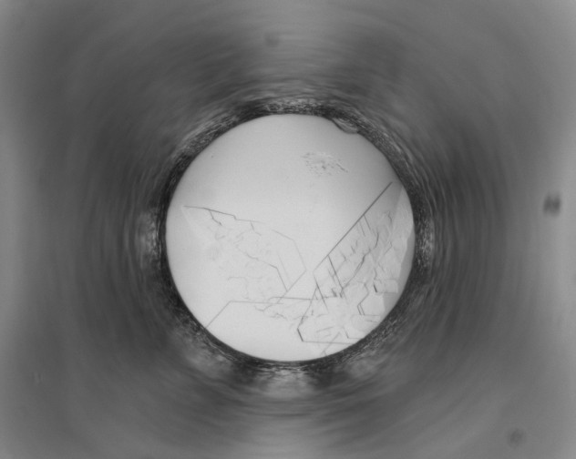X0000096450715200802211234