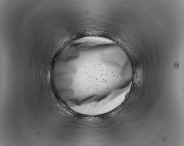 X0000096450716200802211234