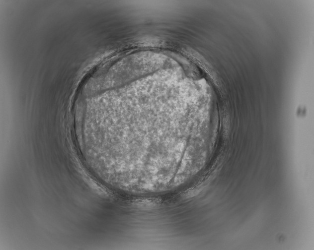 X0000096450721200802211233