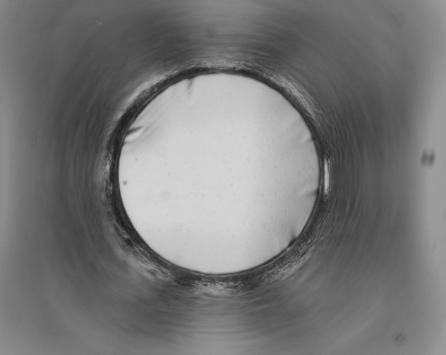 X0000096450723200802211233