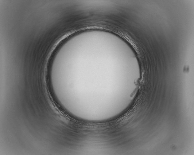 X0000096450724200802211233