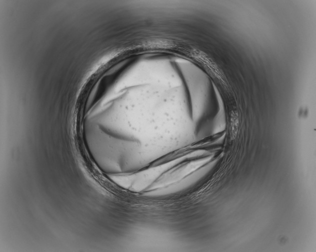 X0000096450726200802211233