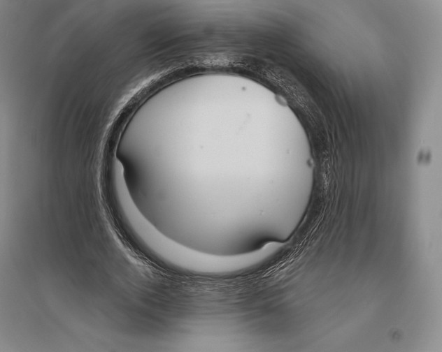 X0000096450728200802211233