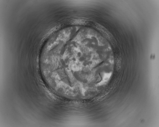 X0000096450729200802211233