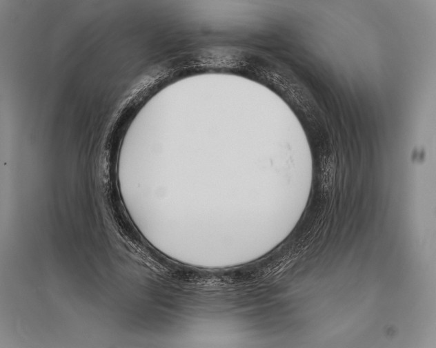 X0000096450731200802211233