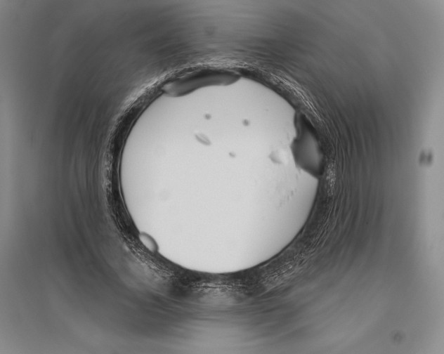 X0000096450732200802211233