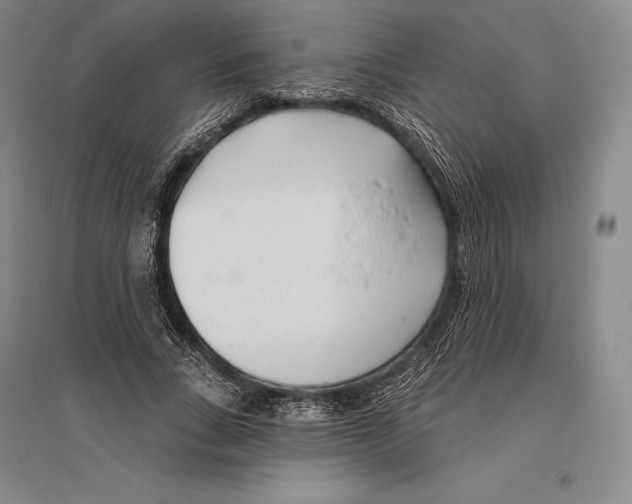 X0000096450735200802211233