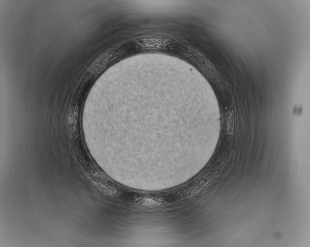 X0000096450737200802211233