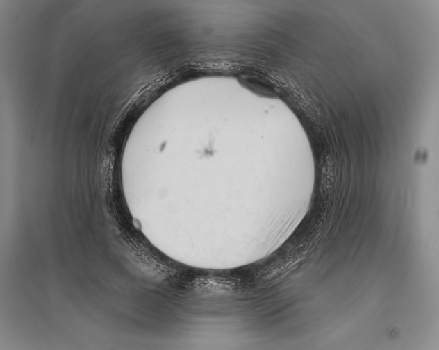 X0000096450739200802211233