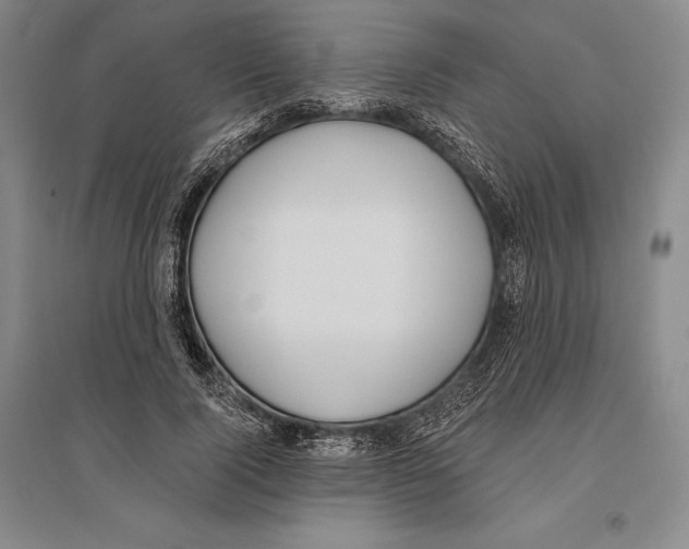 X0000096450740200802211233