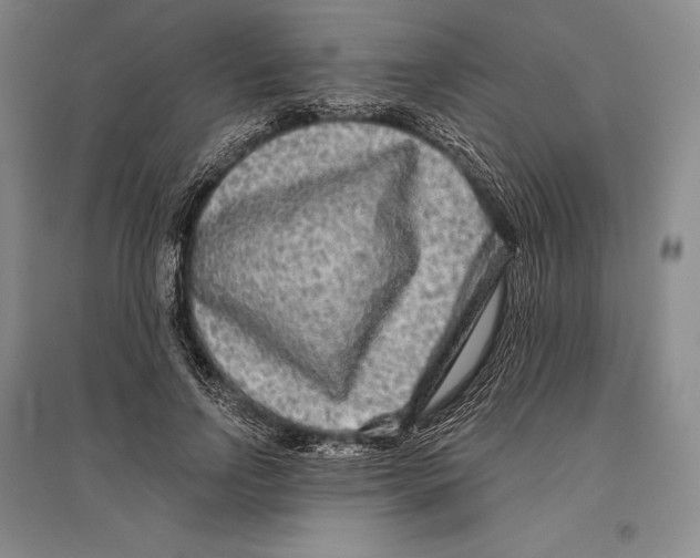 X0000096450742200802211233