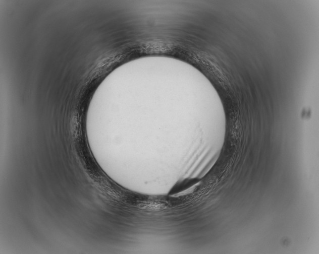 X0000096450743200802211233