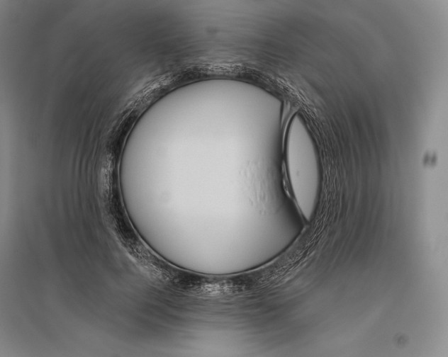 X0000096450744200802211233