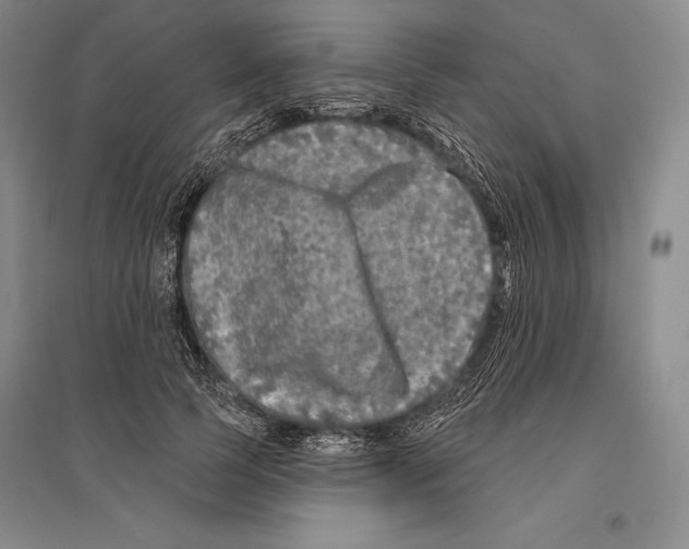 X0000096450745200802211233