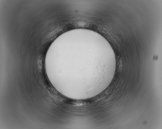 X0000096450746200802211233