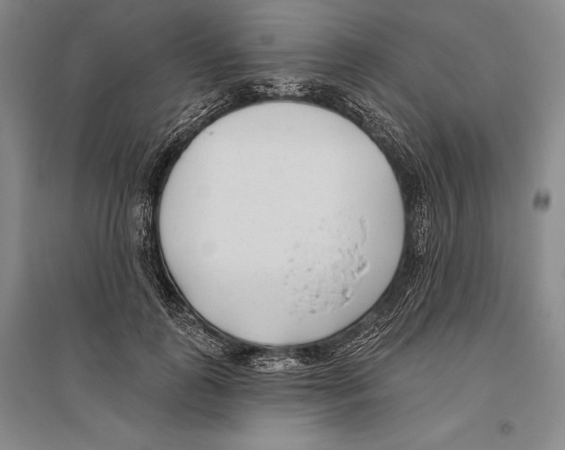 X0000096450747200802211233