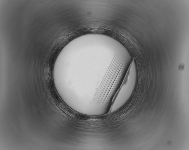 X0000096450748200802211233