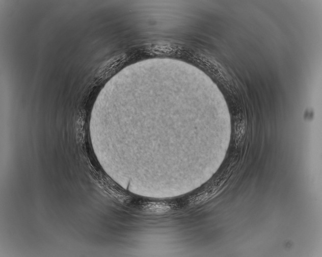 X0000096450749200802211233