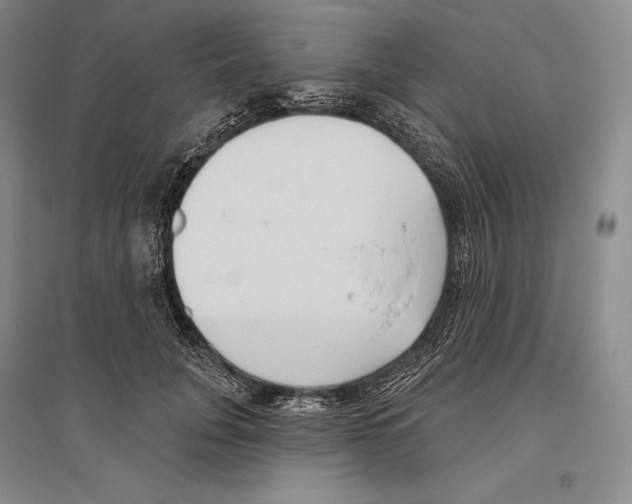 X0000096450751200802211234