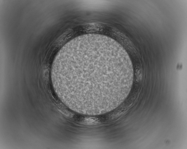 X0000096450753200802211234