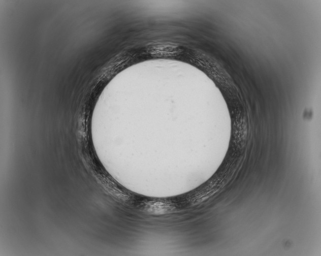 X0000096450755200802211234